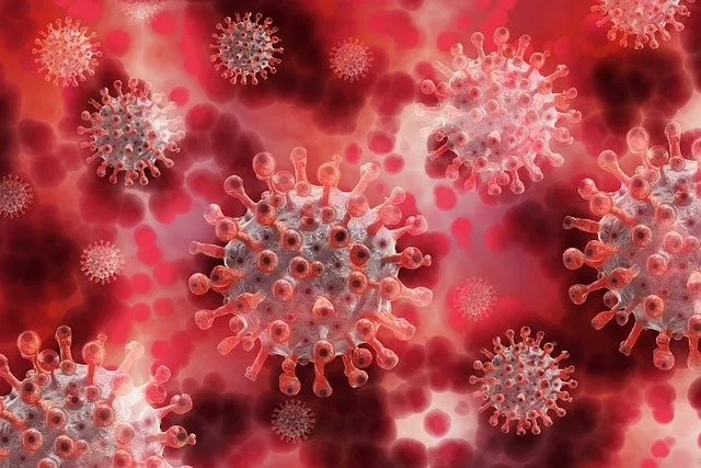 В США обнародовали доклад об утечке нового коронавируса из лаборатории в КНР 