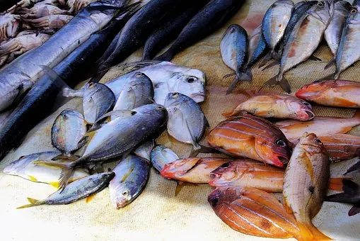 Вьетнам зафиксировал небольшое увеличение производства морепродуктов в ноябре  