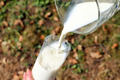 Молоко для усвоения витамина Д работает лучше сока