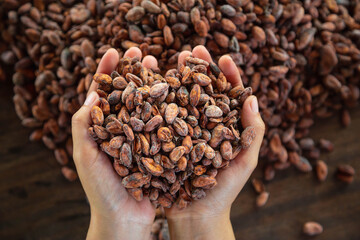 Власти Венесуэлы отменили экпортные пошлины для производителей какао