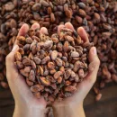 Власти Венесуэлы отменили экпортные пошлины для производителей какао