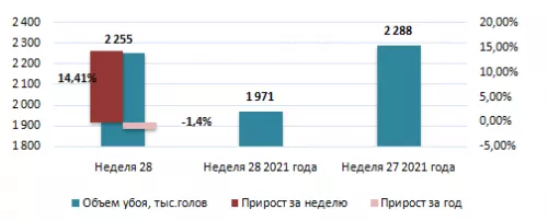 США: Обзор рынка свиней за 28 неделю от 18 июль 2022 года