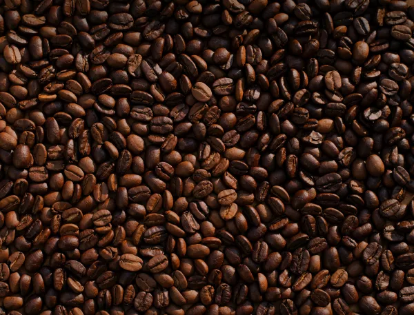 В Индии стоимость кофе робуста достигла рекордных значений