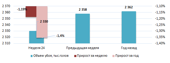 США: Обзор рынка свиней за 24 неделю от 19 июнь 2023 года
