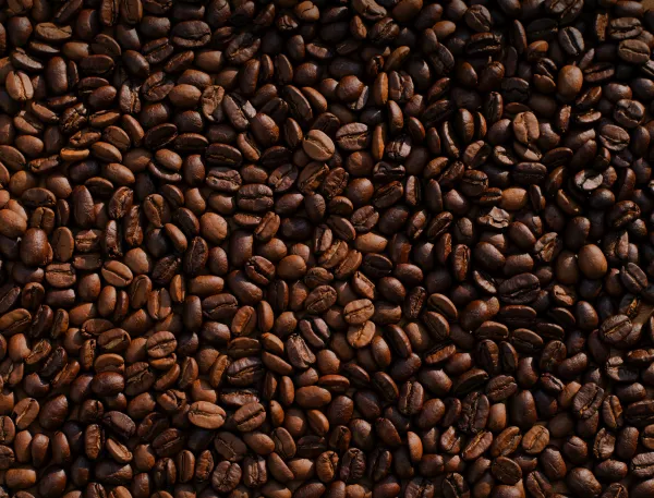 Из-за недавно принятого закона в ЕС могут уничтожить тонны кофе и какао