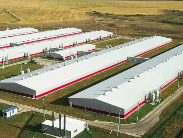 Мордовский племенной центр получил статус селекционно-генетического