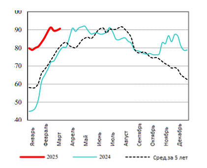 США: Обзор рынка свиней за 12 неделю от 24 марта 2025 года