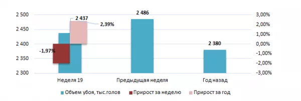 США: Обзор рынка свиней за 19 неделю от 12 мая 2025 года