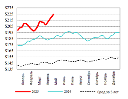 США: Обзор рынка КРС за 20 неделю от 19 мая 2025 года