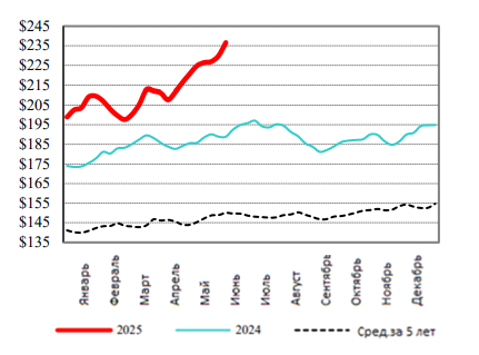 США: Обзор рынка КРС за 24 неделю от 16 июня 2025 года