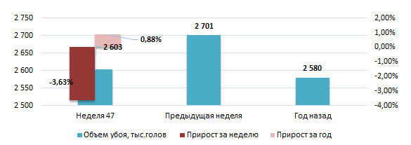 США: Обзор рынка свиней за 47 неделю от 24 ноября 2025 года