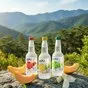 stun soju sparkling (газированное соджу) в Москве